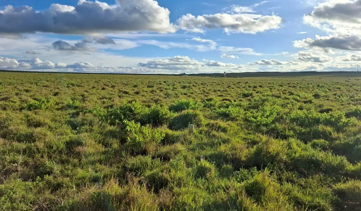 Land for Lease in Kenya: Opportunities for Agriculture and Development