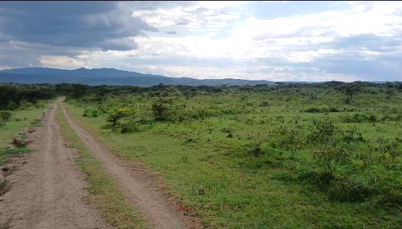 Land for Sale in Naivasha: Scenic Plots and Investment Potential